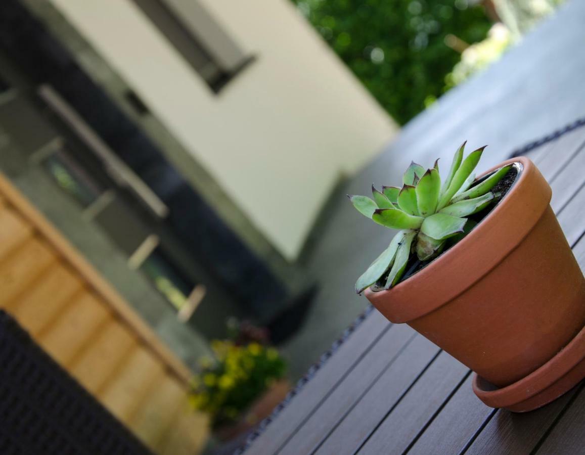 Apartmaji Rajska Ptica Bled Dış mekan fotoğraf